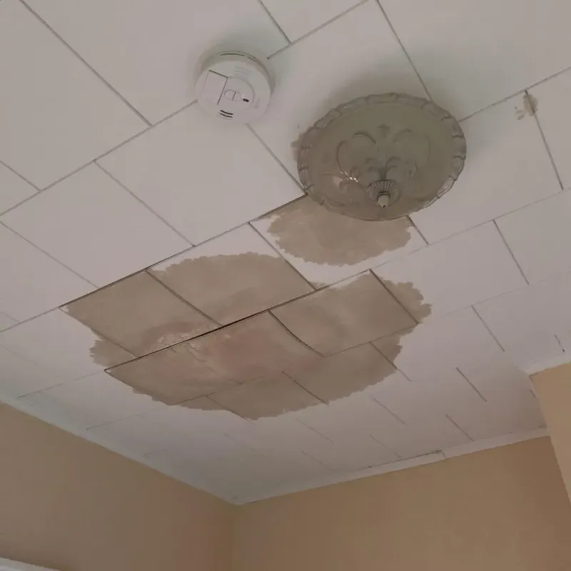 Ceiling Water Damage Repair in Timberville, VA