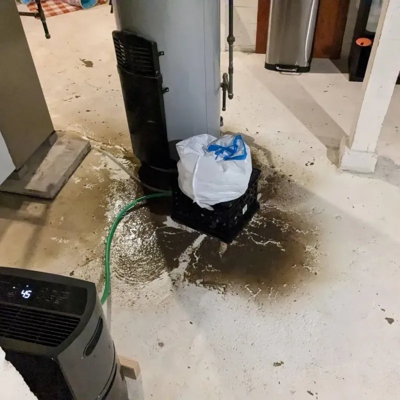 Sewage Backup Cleanup Service in Timberville, VA